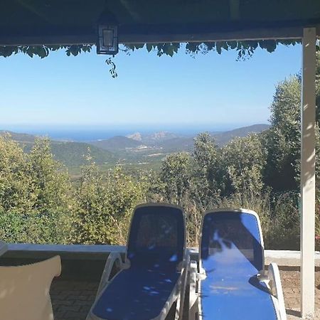 Vos Vacances A Lama France Corse Экстерьер фото