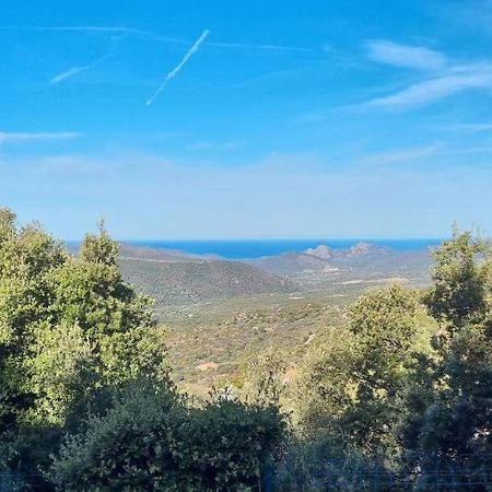 Vos Vacances A Lama France Corse Экстерьер фото