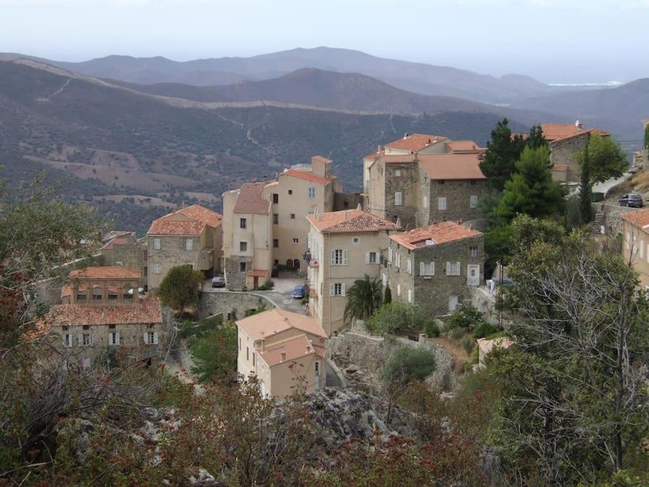 Vos Vacances A Lama France Corse Экстерьер фото
