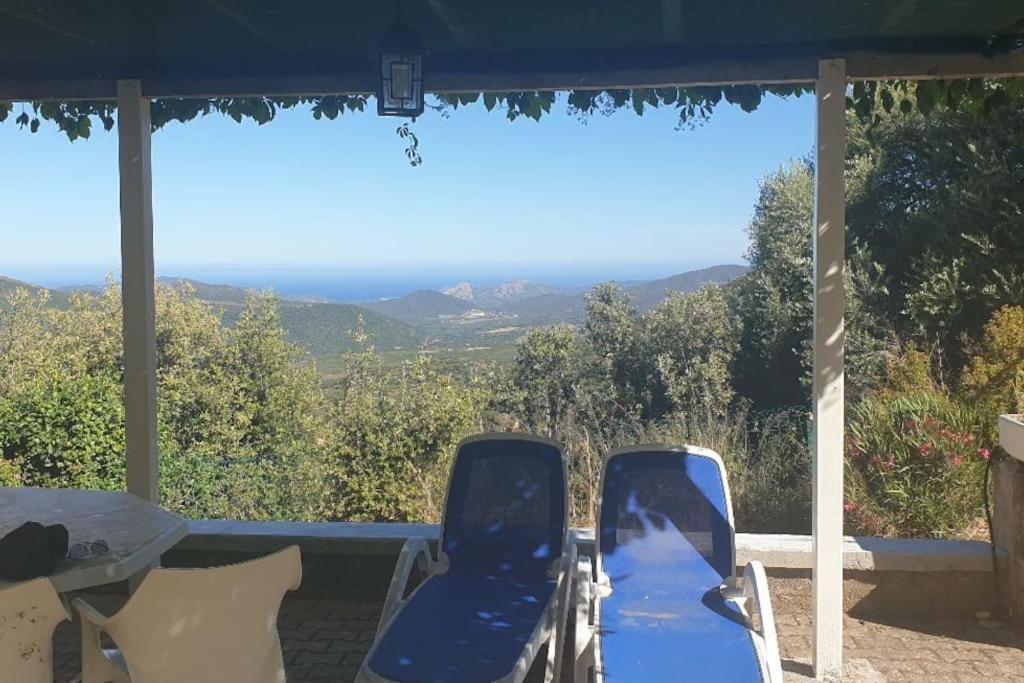 Vos Vacances A Lama France Corse Экстерьер фото