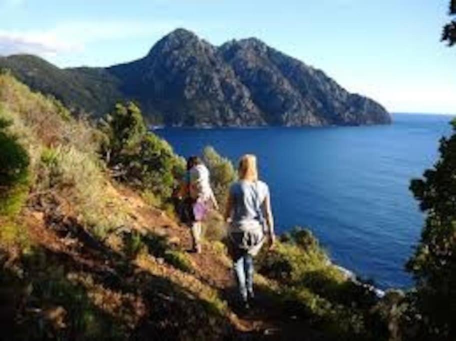 Vos Vacances A Lama France Corse Экстерьер фото