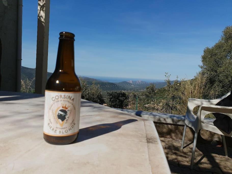 Vos Vacances A Lama France Corse Экстерьер фото