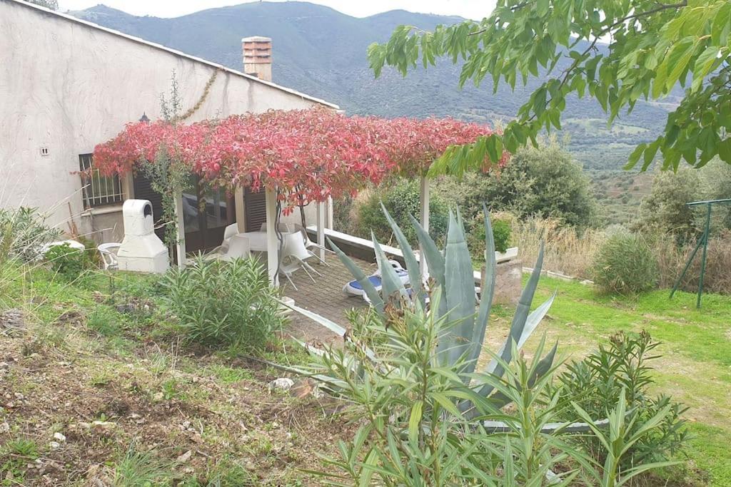 Vos Vacances A Lama France Corse Экстерьер фото
