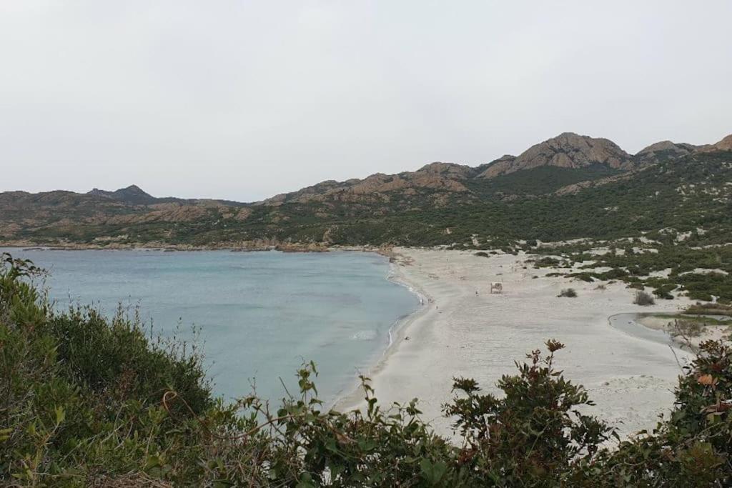 Vos Vacances A Lama France Corse Экстерьер фото