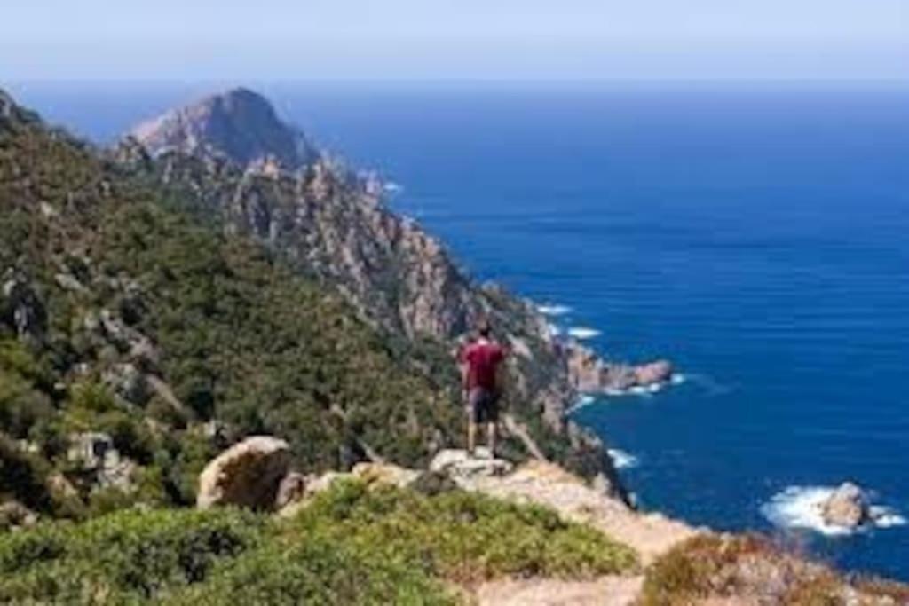 Vos Vacances A Lama France Corse Экстерьер фото