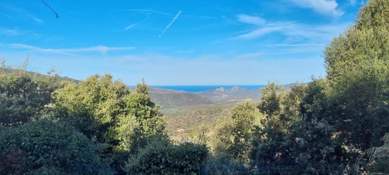 Vos Vacances A Lama France Corse Экстерьер фото