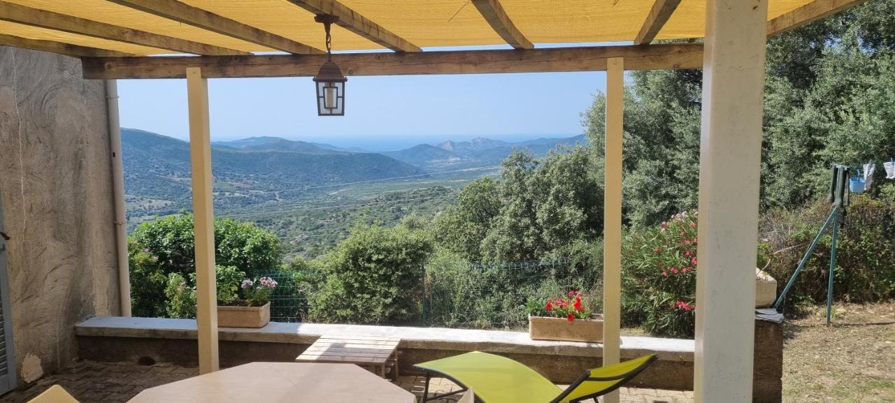 Vos Vacances A Lama France Corse Экстерьер фото